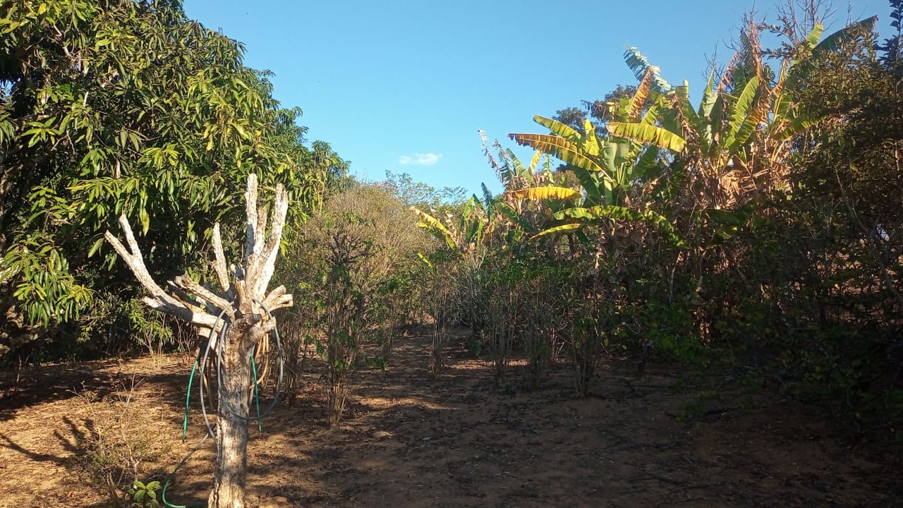 Chácara à Venda - Chácara do Lago