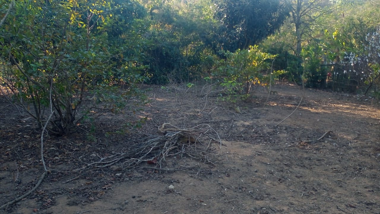 Chácara à Venda - Chácara do Lago