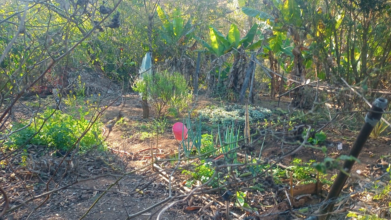 Chácara à Venda - Chácara do Lago