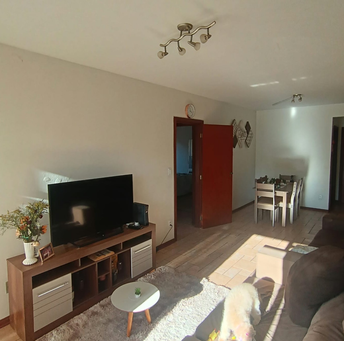 Sala_Q